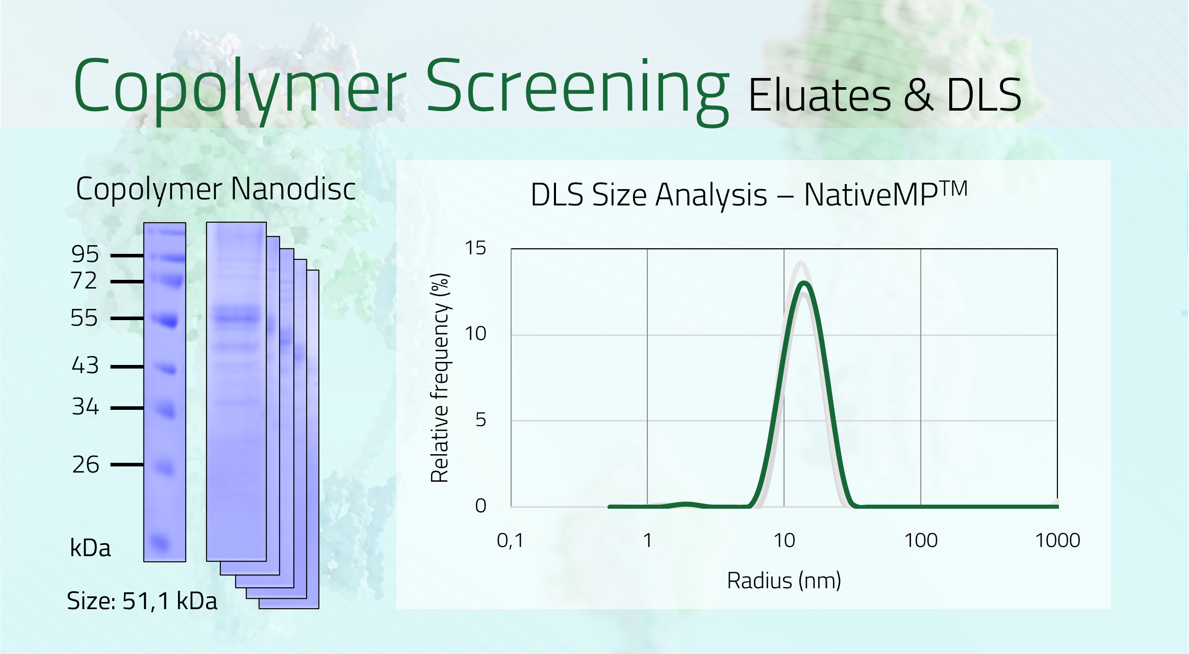 ADRB2 Eluate +DLS